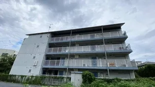 P&I伊島西ハイツの画像