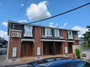 カサランの画像