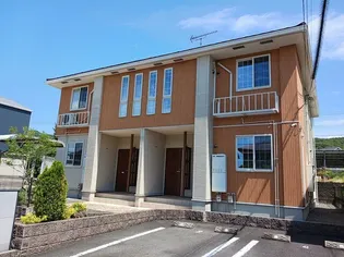 パフィオの画像