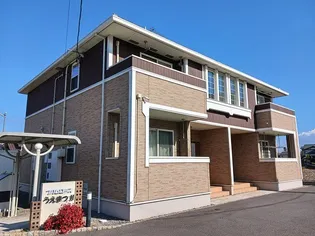 コスモスの画像