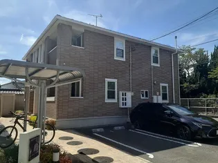 アニュー アメジストの画像