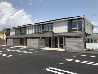 オリーブの画像