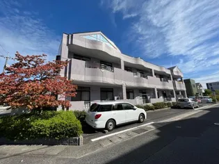 エトワールの画像