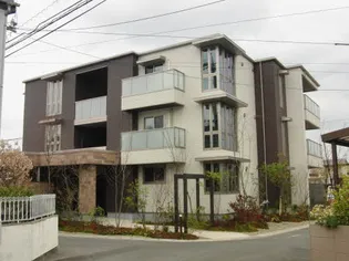 ヴェルデマーレの画像