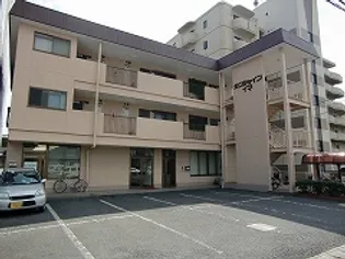 サンシャインイマの画像