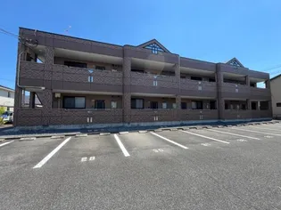 コンフィデンスIIの画像