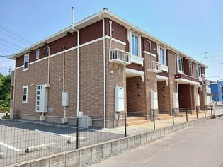 ライム17の画像