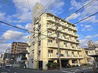 センチュリーせいきの画像