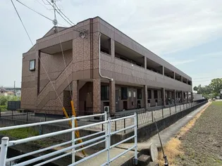 コンフィデンスIIIの画像