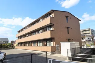 ブランドール マサの画像