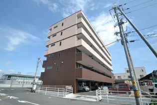 エムズサンシャインの画像