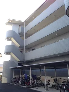 AZA才ノ免の画像