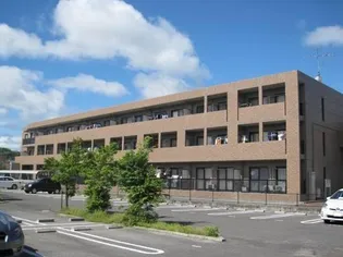 パルテール桑の木の画像