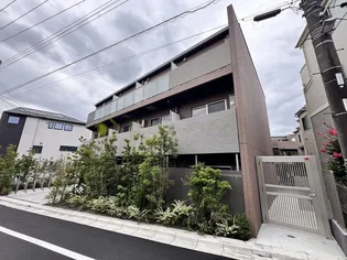 Alivis新江古田【2階】の外観