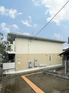 カメリア並木の画像