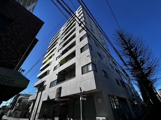 ハイリードセイフウの画像