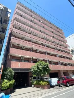 ラフィネイグチの画像