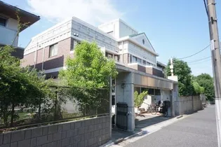 キングストンの画像