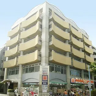 カーサクロヤナギの画像