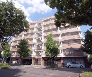 京都府京都市左京区修学院大林町【マンション】の外観