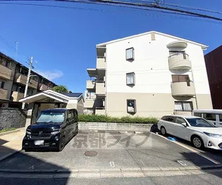 エバグリーンの画像