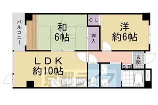 メゾンアルマ【303号室】の間取り