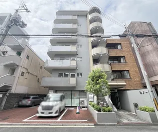 セノータの画像