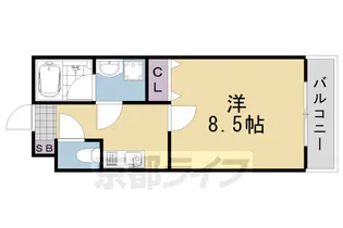 カーサ・フェリーチェ桂【310号室】の間取り