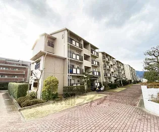 蜂ヶ丘市営住宅 若者子育て応援住宅 こと×ことの画像