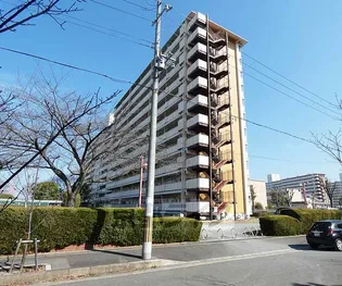 ベルヴィタウン京都伏見(向島市営住宅9街区)【3階】の外観