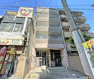 エクセル錦の画像