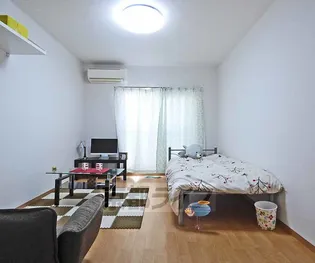 メゾン・エイム【3A号室】の居間