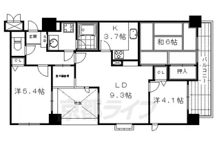 藤和シティホームズ御池【503号室】の間取り