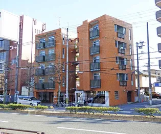 ハウス50の画像