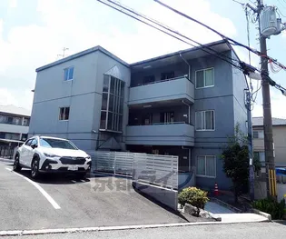 ラベンダー90の画像