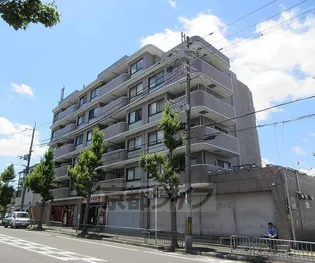 ヴィエントだいごの画像