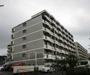 ラポート池の川の画像