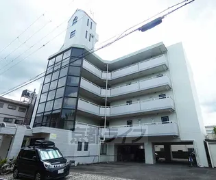 ドエルツクマの画像