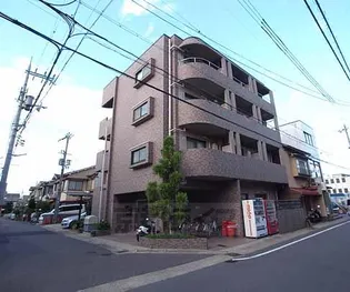 ピア グレース錦Ⅱの画像