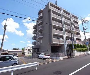 ヒルズシンメイの画像