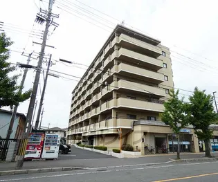 シャンポール蜂の壷の画像
