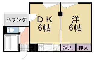 アペルタス【501号室】の間取り