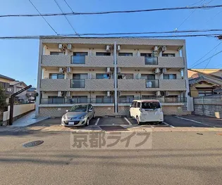 インペリアル桜の画像