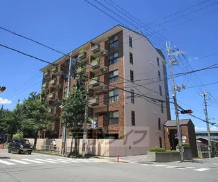 エルフィン井上の画像