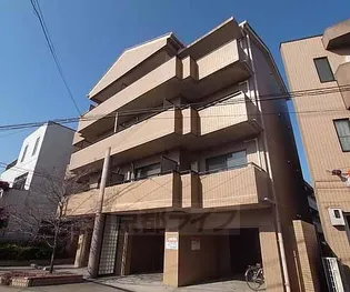 ブランベージュ桂の画像