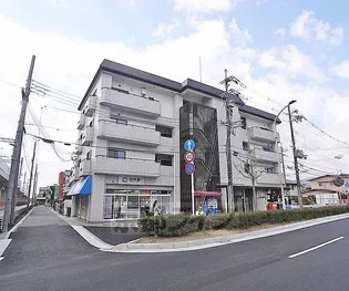 グレース桂の画像