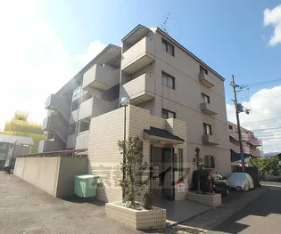 コーポラス桂【206号室】の外観