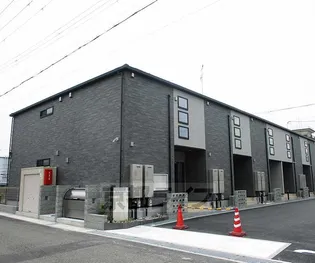 BELLE TORTUEの画像