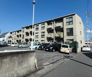 パレセゾン・アン【305号室】の外観