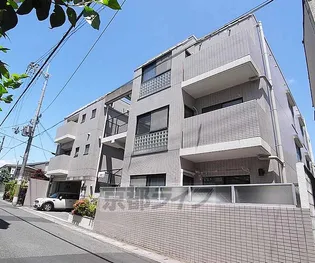 マドゥース桂の画像